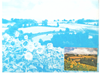 Холст на картоне с эскизом - 30х40 см "Пейзажи" №6 (Н.П.)