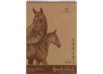 Альбом д/эскизов - А3 50л. "Арабчики" на картоне (Лилия Холдинг)