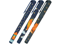 Ручка шариковая - синий стержень 0.7мм. "DreamWrite. Лисята" в тубусе (Bruno Visconti)