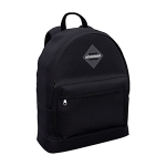 Рюкзак 38х29х12см."Aisa School 17L Black" черный (ErichKrause)