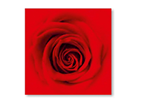 Салфетки цветные - 20шт. 33х33 "Rose rouge" (HERLITZ)