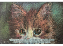 Папка д/рисования - А3 10л.  "Black" тонированная (Лилия Холдинг)